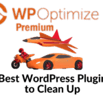 Best WordPress Plugin to Clean Up Old Themes