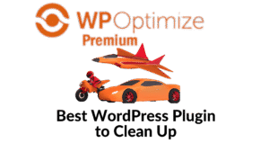 Best WordPress Plugin to Clean Up Old Themes