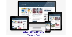 What WordPress Theme Is That